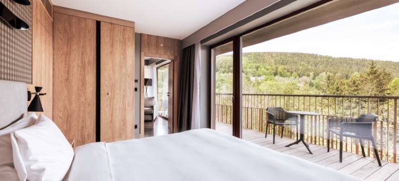 斯克拉斯卡波伦巴丽笙酒店(Radisson Hotel Szklarska Poreba)图片