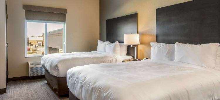 康福特套房布伦瑞克镇中心(Comfort Suites Brunswick Town Center)图片