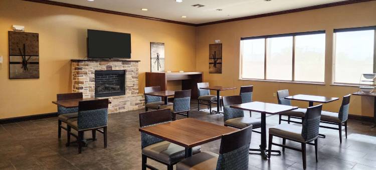 蒙那汉斯 I-20 舒适套房酒店(Comfort Inn & Suites Monahans I-20)图片