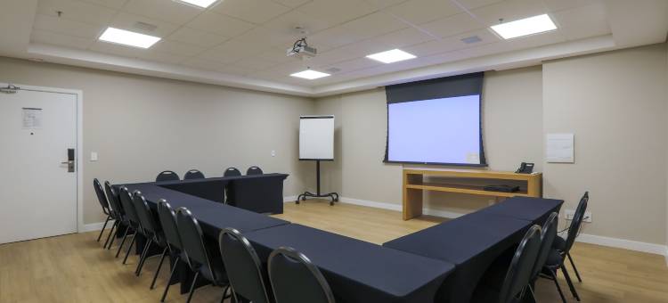 康福套房圣何塞杜里奥普雷托(Comfort Suites São José do Rio Preto)图片