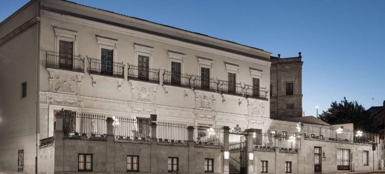 萨拉曼卡卡斯泰拉诺斯宫NH典藏酒店(NH Collection Salamanca Palacio de Castellanos)图片