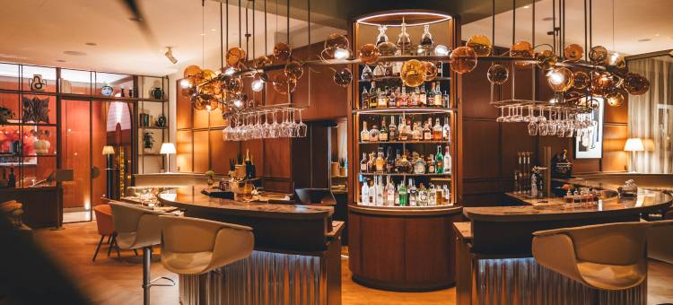 圣苏西维也纳酒店(Hotel Sans Souci Vienna)图片