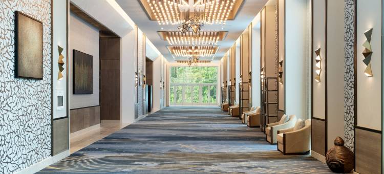 奥兰多邦内溪JW万豪水疗度假村(JW Marriott Orlando Bonnet Creek Resort & Spa)图片