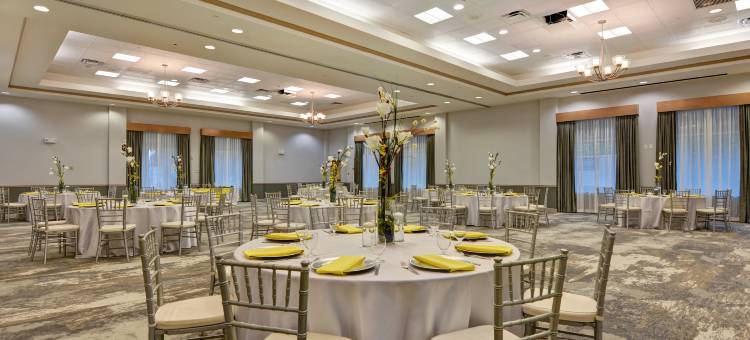 维斯塔湖希尔顿花园酒店(Hilton Garden Inn Lake Buena Vista/Orlando)图片