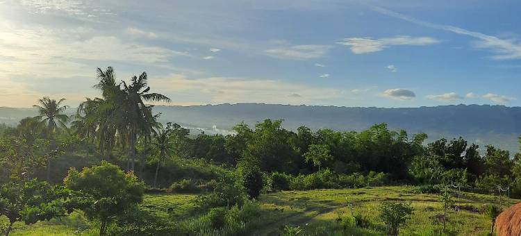 Tongo山丘小屋(Tongo Hill Cottages)图片