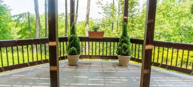 树顶静居，距阿什维尔市中心10分钟，山景、1000平方英尺度假屋！(Treetop Hideaway with mountain views. 1000 sq. ft. 10 min to downtown Asheville!)图片