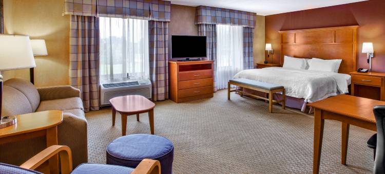 希尔顿欢朋酒店-底特律尤蒂卡谢尔比镇(Hampton Inn Detroit/Utica-Shelby Township)图片