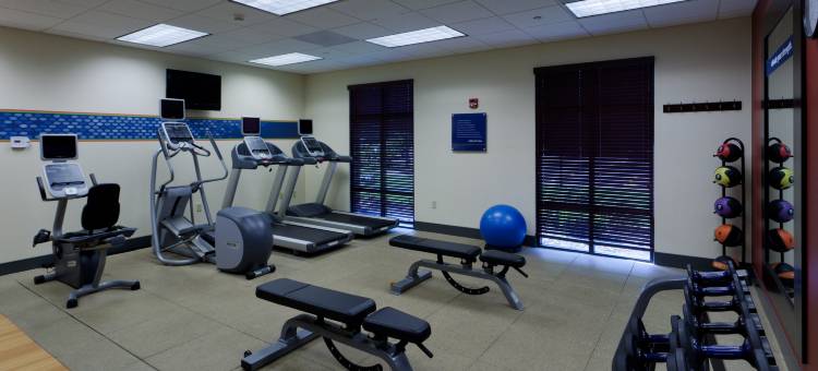 罗彻斯特-韦伯斯特欢朋酒店(Hampton Inn Rochester-Webster)图片