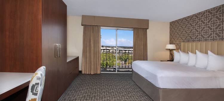 北阿纳海姆希尔顿安泊酒店(Embassy Suites by Hilton Anaheim North)图片