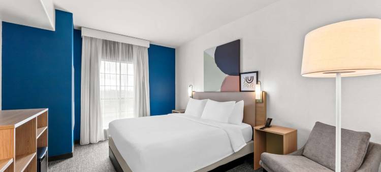 希尔顿Spark圣安东尼奥近海洋世界(Spark by Hilton San Antonio Near Seaworld)图片