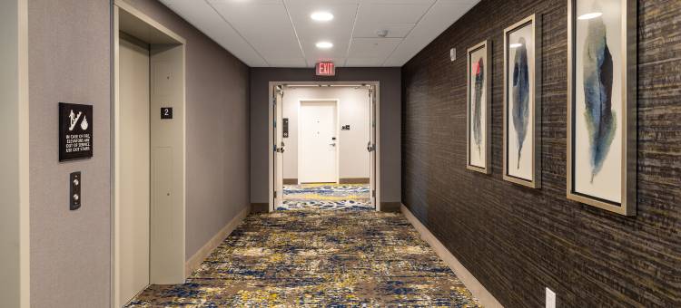 哥伦布基莉安路欢朋套房酒店(Hampton Inn & Suites by Hilton Columbia Killian Road)图片