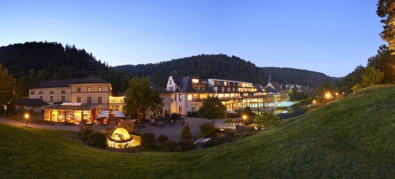 巴德温泉缇娜酒店(Hotel Therme Bad Teinach)图片