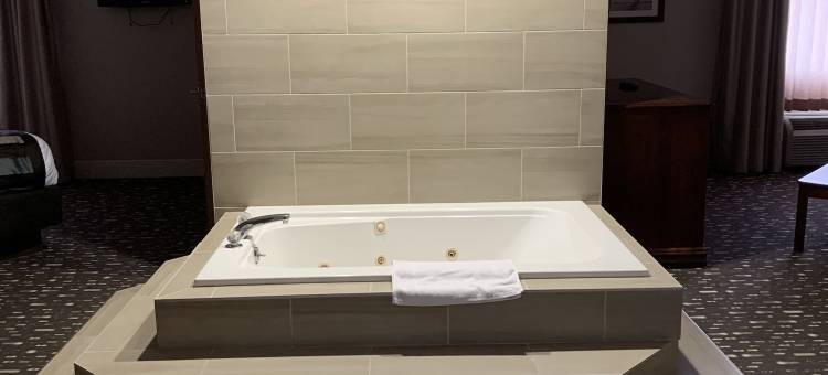 布赖顿蔚景温德姆酒店(Wingate by Wyndham Brighton)图片