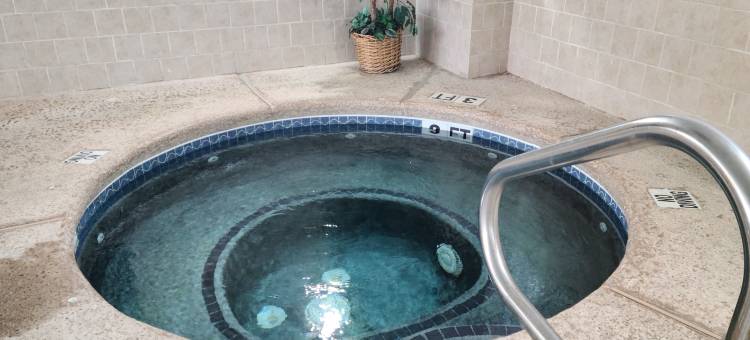 舒适套房酒店-近福赛斯I-75号(Comfort Suites Forsyth near I-75)图片