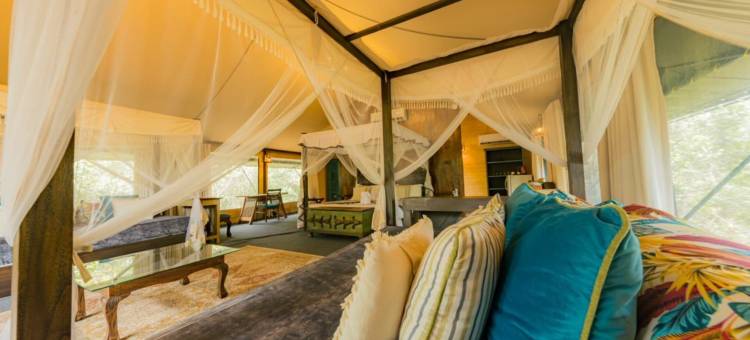 Tribe Yala - 豪华露营(Tribe Yala - Luxury Camping)图片