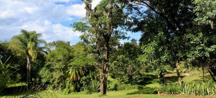 有一个可爱花园的2卧室的房子 - 2177(2 Bedroomed House with a Lovely Garden - 2177)图片