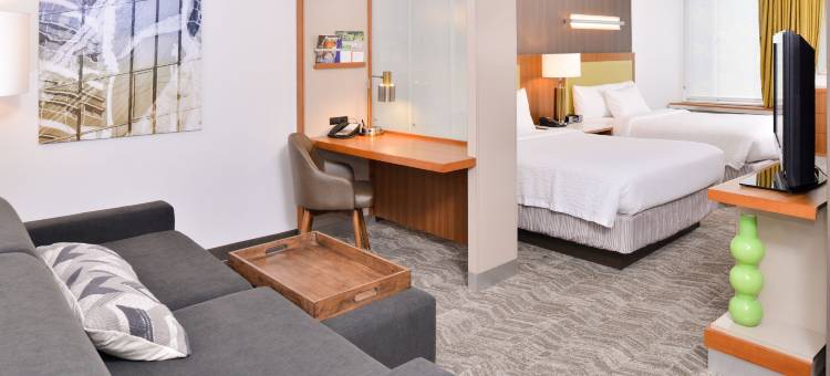 阿什本杜勒斯北SpringHill套房酒店(SpringHill Suites Ashburn Dulles North)图片