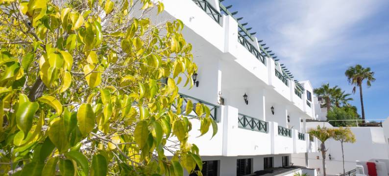 兰萨罗特莫拉纳公寓(Apartamentos Moraña)图片