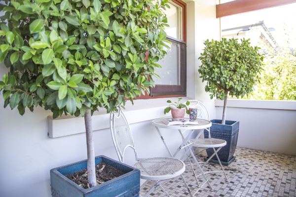 Mataro Cottage Hotel Overview