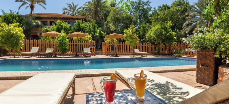 棕榈树 - 生态小屋旅馆(Ecolodge la Palmeraie)图片