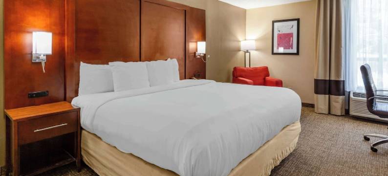 舒适酒店(Comfort Inn Laurinburg)图片