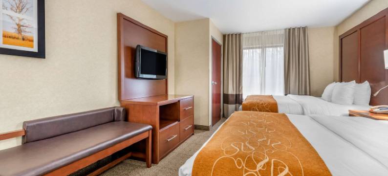 埃尔克哈特南舒适套房酒店(Comfort Suites South)图片