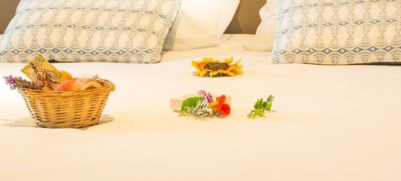 特罗巴杜尔餐厅酒店(Hôtel le Troubadour à Rocamadour)图片