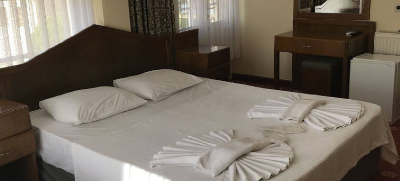 安提克里德凡酒店(Antik Ridvan Hotel)图片