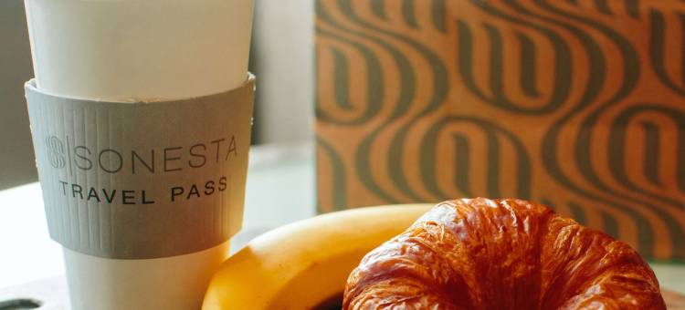 芝加哥沃基根/古尼索尼斯塔ES套房酒店(Sonesta ES Suites Chicago Waukegan Gurnee)图片