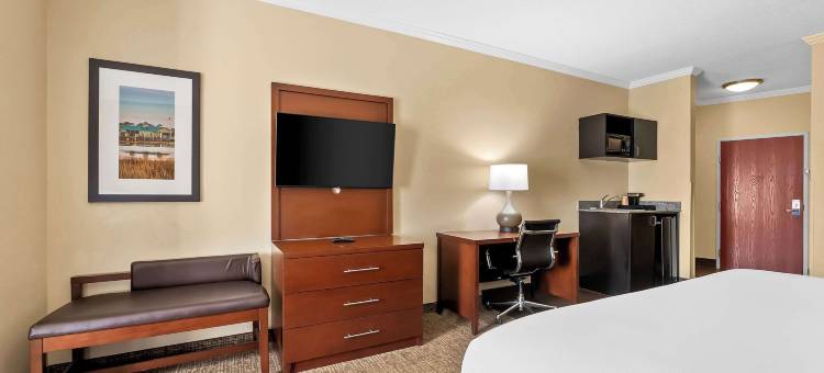 巴拿马城舒适套房酒店-近廷德尔空军基地(Comfort Suites Panama City Near Tyndall AFB)图片