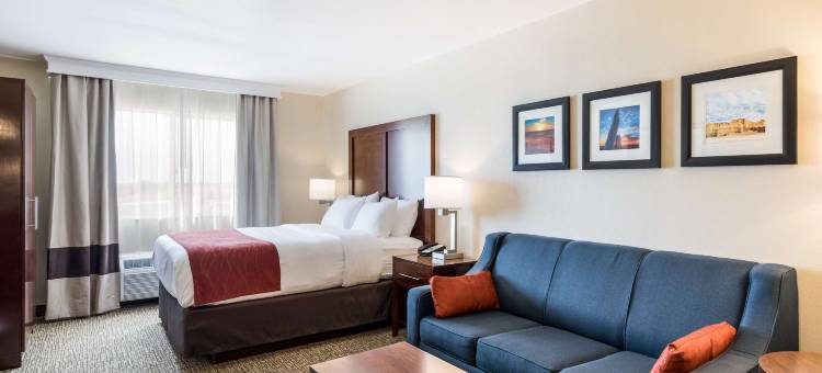 堪萨斯城-邦纳斯普林斯舒适酒店(Comfort Inn Bonner Springs Kansas City)图片