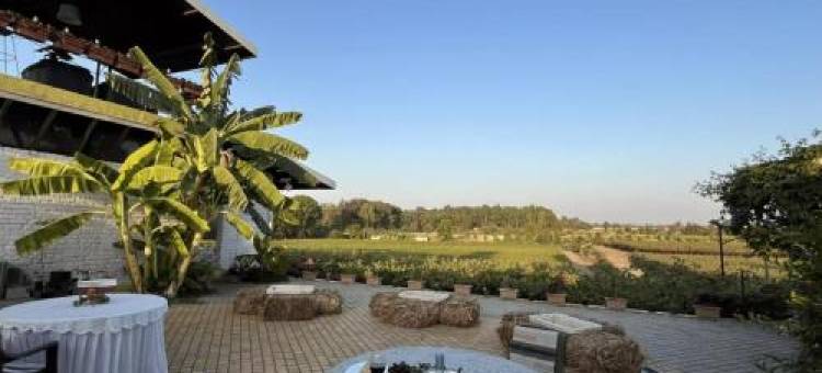 SaffronStays Onellaa, Nashik - infinity pool villa surrounded by a vineyard图片