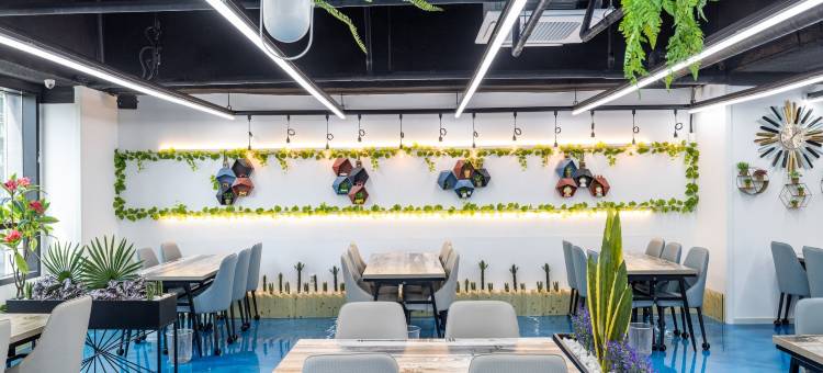 诺贝尔皮亚酒店(Noblepia Hotel)图片