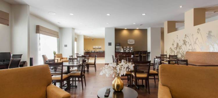 舒眠套房酒店-医学中心(Sleep Inn & Suites Fargo Medical Center)图片