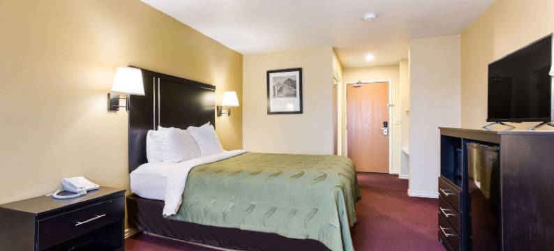 机场品质酒店(Quality Inn Airport)图片