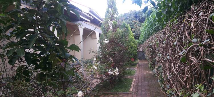 迪奇凯富酒店(Dich Comfort Hotel - Main Branch)图片