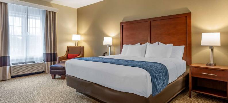 舒适酒店(Comfort Inn)图片