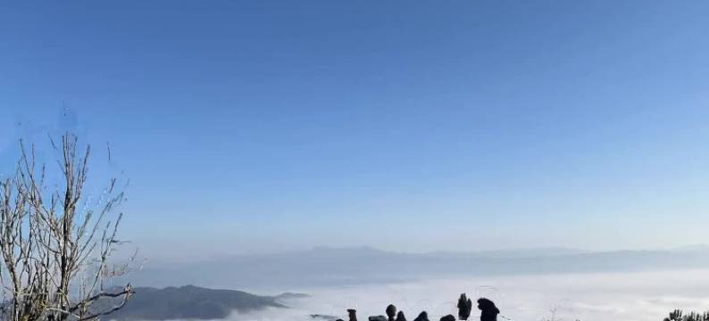 藤腊民宿(景迈山古茶林景区店)图片