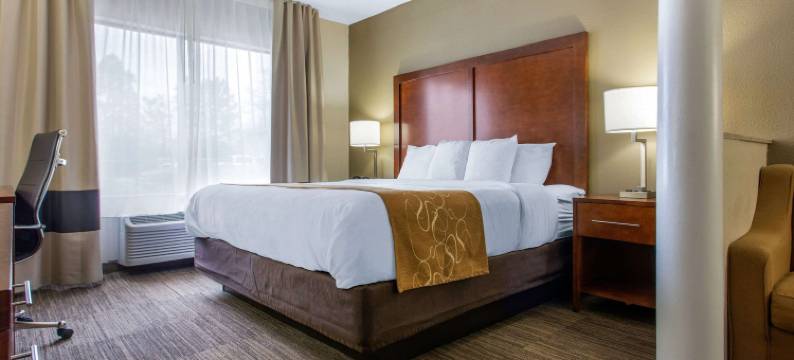 绍斯波特橡树岛舒适套房酒店(Comfort Suites Southport - Oak Island)图片