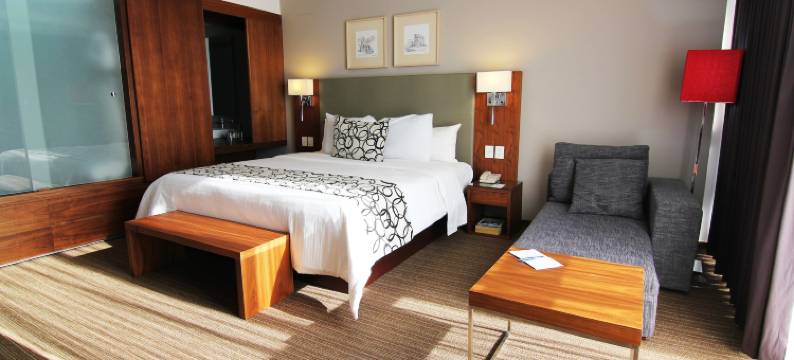 奎雷塔罗尊贵卡撒旅馆(Casa Inn Premium Hotel Queretaro)图片