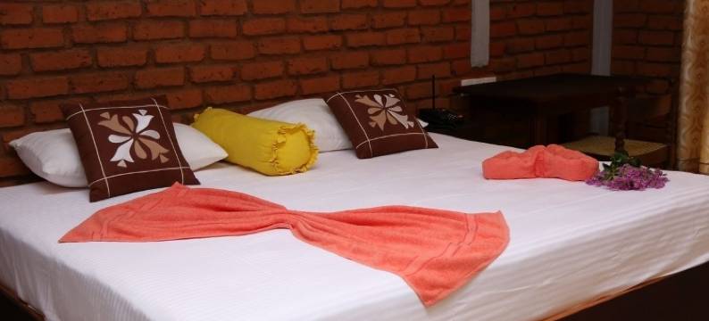 维维拉酒店(Hotel Viverra)图片