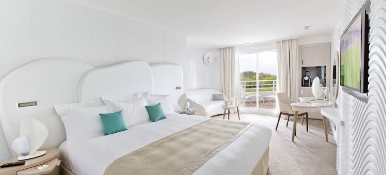 美丽华拉西加尔海水浴及 Spa 酒店(Miramar la Cigale Hotel Thalasso & Spa)图片