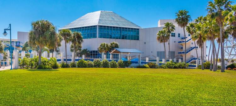 科珀斯克里斯蒂中心万豪万枫套房酒店(Fairfield Inn & Suites Corpus Christi Central)图片