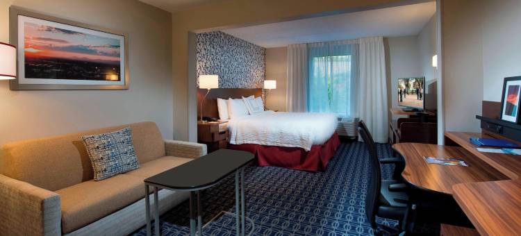 林奇堡自由大学万枫酒店及套房(Fairfield Inn & Suites Lynchburg Liberty University)图片