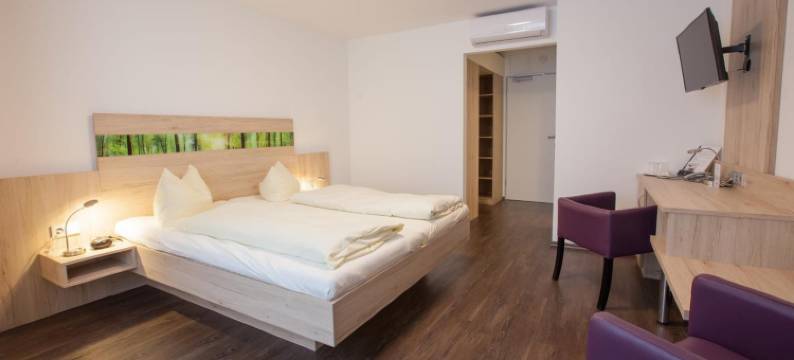 楚普法尔茨酒店(Hotel zur Pfalz)图片