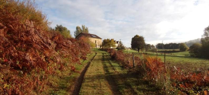 猫头鹰住宿加早餐旅馆(Chambres d'Hôtes la Chouette)图片