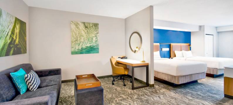 伊利万豪SpringHill酒店(SpringHill Suites Erie)图片