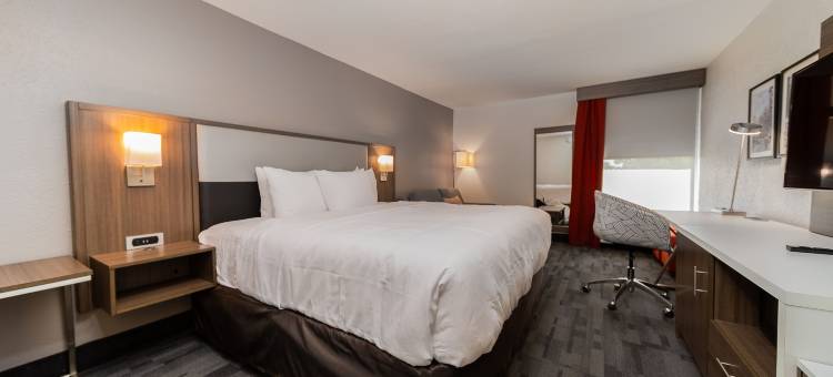舒适酒店及套房-怀奥米辛雷丁(Comfort Inn & Suites Wyomissing-Reading)图片