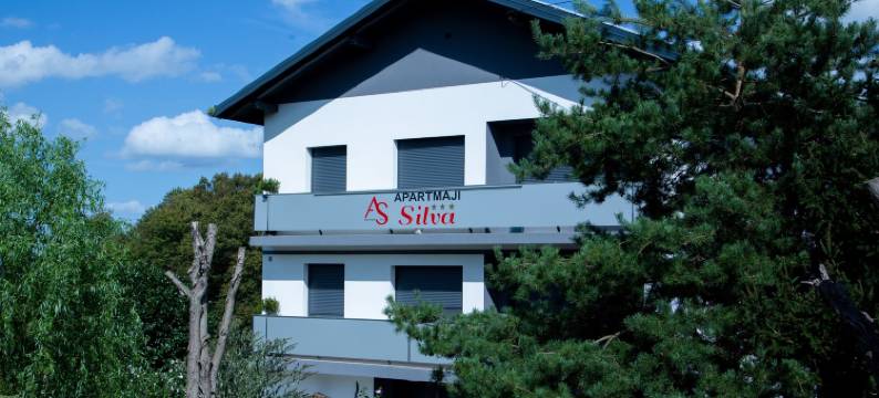 席尔瓦索托平房公寓酒店(Apartments Silva)图片