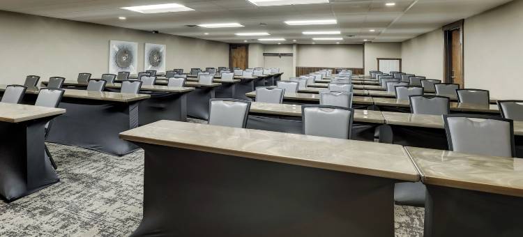 斯托尼溪会议中心及酒店-拉克罗斯(Stoney Creek Hotel la Crosse - Onalaska)图片